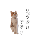 はるつないくら（個別スタンプ：4）