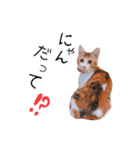 はるつないくら（個別スタンプ：7）