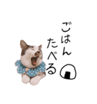 はるつないくら（個別スタンプ：8）