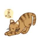 ネコは猫である（個別スタンプ：2）