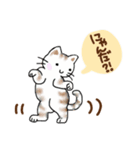 ネコは猫である（個別スタンプ：4）