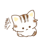 ネコは猫である（個別スタンプ：6）