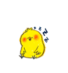 しろくまとひよこ（個別スタンプ：16）