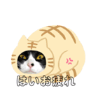 ねこのコーヒー（個別スタンプ：5）