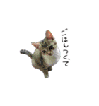 焼きそば星に住む不思議な生き物 2（個別スタンプ：38）