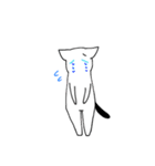 うさぎとねこの日常スタンプ（個別スタンプ：15）