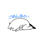 うさぎとねこの日常スタンプ（個別スタンプ：16）