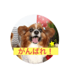 ちびそらスタンプ2（個別スタンプ：1）