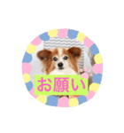 ちびそらスタンプ2（個別スタンプ：2）