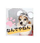 ちびそらスタンプ2（個別スタンプ：4）