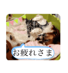 ちびそらスタンプ2（個別スタンプ：7）