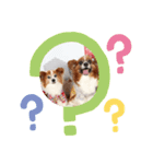ちびそらスタンプ2（個別スタンプ：8）