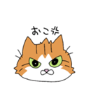 うちの猫ときどき犬（個別スタンプ：6）