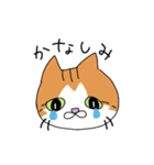 うちの猫ときどき犬（個別スタンプ：10）