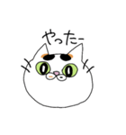 うちの猫ときどき犬（個別スタンプ：11）