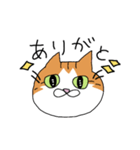 うちの猫ときどき犬（個別スタンプ：12）