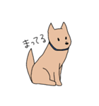 うちの猫ときどき犬（個別スタンプ：17）