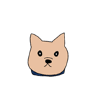 うちの猫ときどき犬（個別スタンプ：23）