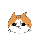 うちの猫ときどき犬（個別スタンプ：24）