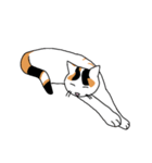 うちの猫ときどき犬（個別スタンプ：28）