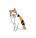 うちの猫ときどき犬（個別スタンプ：30）