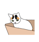 うちの猫ときどき犬（個別スタンプ：31）