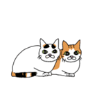 うちの猫ときどき犬（個別スタンプ：32）