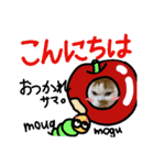 ネコ満載（個別スタンプ：2）