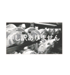 食肉市場（個別スタンプ：14）