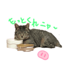 つぶ子スタンプ（個別スタンプ：6）