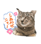 つぶ子スタンプ（個別スタンプ：7）