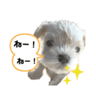 みっくす犬れいちぇる（個別スタンプ：4）
