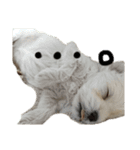 みっくす犬れいちぇる（個別スタンプ：6）