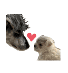 みっくす犬れいちぇる（個別スタンプ：7）