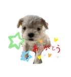 みっくす犬れいちぇる（個別スタンプ：8）