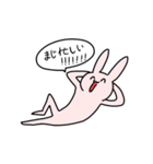 使い所しかないうさぎ（個別スタンプ：12）
