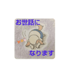 大人のわんころ物語（個別スタンプ：4）