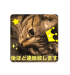 おはちゃん4（個別スタンプ：3）