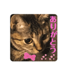 おはちゃん4（個別スタンプ：4）