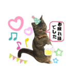 おはちゃん4（個別スタンプ：5）