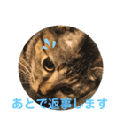 おはちゃん4（個別スタンプ：6）