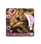 おはちゃん4（個別スタンプ：7）