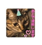 おはちゃん4（個別スタンプ：8）