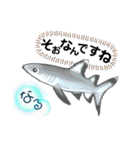 ダイビングでよく見る魚で日常使うスタンプ（個別スタンプ：2）