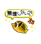 ダイビングでよく見る魚で日常使うスタンプ（個別スタンプ：11）