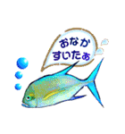 ダイビングでよく見る魚で日常使うスタンプ（個別スタンプ：35）