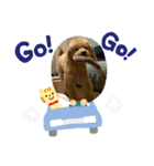 ここあスタンプ 1（個別スタンプ：4）
