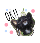 p.o.n.z.u.（個別スタンプ：1）