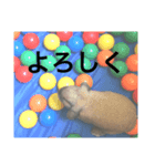 みみくんのスタンプ 2（個別スタンプ：8）