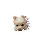 みむちゃんず（個別スタンプ：1）